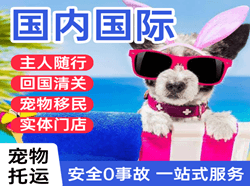 大同云冈航空运输国际宠物托运 【国